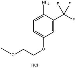 4-(2-メトキシエトキシ)-2-(トリフルオロメチル)アニリン塩酸塩 化学構造式