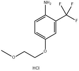 4-(2-Methoxyethoxy)-2-(trifluoromethyl)anilinehydrochloride|4-(2-甲氧基乙氧基)-2-(三氟甲基)苯胺盐酸盐