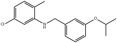 5-Chloro-N-(3-isopropoxybenzyl)-2-methylaniline 结构式