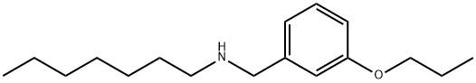 N-(3-Propoxybenzyl)-1-heptanamine Structure