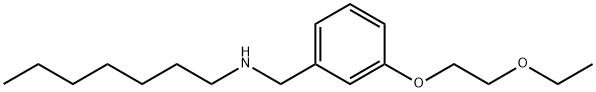 N-[3-(2-Ethoxyethoxy)benzyl]-1-heptanamine Structure