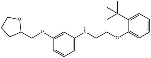 N-{2-[2-(tert-Butyl)phenoxy]ethyl}-3-(tetrahydro-2-furanylmethoxy)aniline,1040681-78-4,结构式