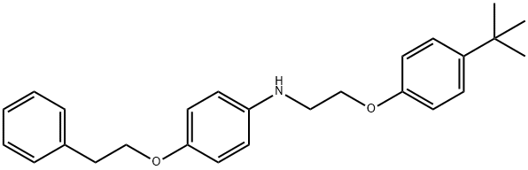 N-{2-[4-(tert-Butyl)phenoxy]ethyl}-4-(phenethyloxy)aniline Structure