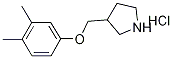 3-[(3,4-Dimethylphenoxy)methyl]pyrrolidinehydrochloride|