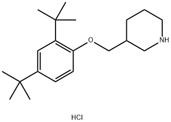 3-{[2,4-Di(tert-butyl)phenoxy]methyl}piperidinehydrochloride Structure