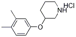 3-(3,4-Dimethylphenoxy)piperidine hydrochloride Structure