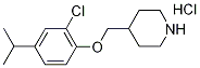 4-[(2-Chloro-4-isopropylphenoxy)methyl]piperidinehydrochloride Structure