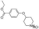 Ethyl 4-(4-piperidinyloxy)benzoate hydrochloride Structure