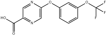 2-pyrazinecarboxylic acid, 5-[3-(trifluoromethoxy)phenoxy]|5-[3-(三氟甲氧基)苯氧基]吡嗪-2-羧酸