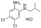 4,5-Dichloro-N-isobutylbenzene-1,2-diamine hydrochloride Structure
