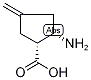 (1R,2S)-2-Amino-4-methylenecyclopentane-1-carboxylic acid 化学構造式