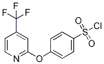  2-[4-(Chlorosulphonyl)phenoxy]-4-(trifluoromethyl)pyridine