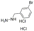 1-(3-Bromobenzyl)hydrazine dihydrochloride|1349715-79-2