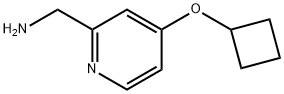 (4-シクロブトキシピリジン-2-イル)メタンアミン 化学構造式