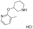 3-Methyl-2-(piperidin-3-yloxy)pyridine hydrochloride|1779126-53-2