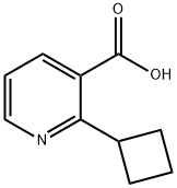 2-Cyclobutylnicotinic acid Structure