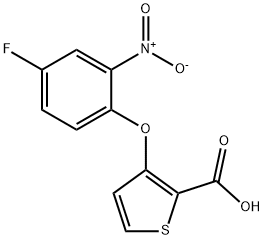 3-(4-Fluoro-2-nitrophenoxy)thiophene-2-carboxylic acid 97% Struktur