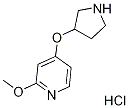 2-Methoxy-4-(pyrrolidin-3-yloxy)pyridine hydrochloride Structure