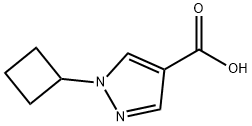 1-Cyclobutyl-1H-pyrazole-4-carboxylic acid|1349718-35-9