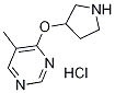 5-Methyl-4-(pyrrolidin-3-yloxy)pyrimidine hydrochloride Structure