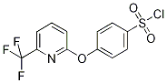 2-[4-(Chlorosulphonyl)phenoxy]-6-(trifluoromethyl)pyridine,,结构式