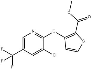 Methyl 3-[3-chloro-5-(trifluoromethyl)pyridin-2-yloxy]thiophene-2-carboxylate 97%|