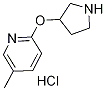5-Methyl-2-(pyrrolidin-3-yloxy)pyridine hydrochloride Structure