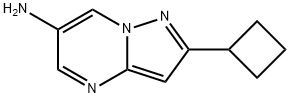 2-Cyclobutylpyrazolo[1,5-a]pyrimidin-6-amine Struktur