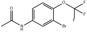 755030-17-2 N-(3-溴-4-(三氟甲氧基)苯基)乙酰胺