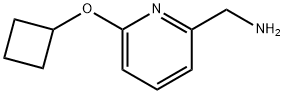 1248422-79-8 (6-シクロブトキシピリジン-2-イル)メタンアミン