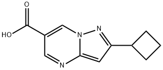 2-Cyclobutylpyrazolo[1,5-a]pyrimidine-6-carboxylic acid Struktur