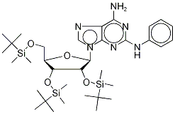 2-PhenylaMino-2',3',5'-tris-O-tertbutyldiMethylsilyl Adenosine
