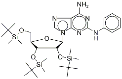 2-PhenylaMino-2',3',5'-tris-O-tertbutyldiMethylsilyl Adenosine Structure