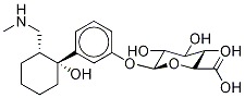 rel-3-[(1R,2R)-1-Hydroxy-2-[(MethylaMino)Methyl]cyclohexyl]phenyl β-D-Glucopyranosiduronic Acid 化学構造式