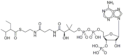 2-Ethyl-3-Hydroxybutyryl Coenzyme A,,结构式