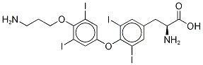 Thyroxine Aminopropyl Ether Structure