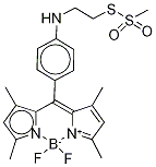 8-[4-(AMINOETHYL METHANETHIOSULFONYL)PHENYL] BODIPY