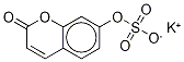 7-Hydroxy Coumarin-13C6 Sulfate