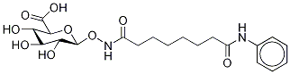 1-O-[[1,8-Dioxo-8-(phenyl-d5-amino)octyl]amino]--D-glucopyranuronic Acid|