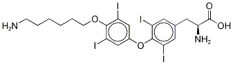 Thyroxine Aminohexyl Ether Dihydrochloride  Structure