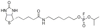 FP-Biotin-d7 化学構造式