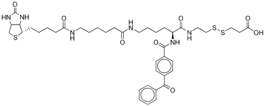  2-{N2-[Nα-Benzoylbenzoicamido-N6-6-biotinamidocaproyl]lysinylamido}ethyl-2’-carboxylethyl Disulfide