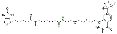 2-[2-[2-[2-[6-(BiotinylaMinohexanoyl]aMinoethoxy]ethoxy]ethoxy]-4-[3-(trifluoroMethyl)-3H-diazirin-3-yl]benzoic Acid Hydrazide, 1391054-06-0, 结构式