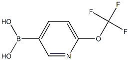 6-TRIFLUOROMETHOXYPYRIDINE-3-BORONIC ACID Struktur