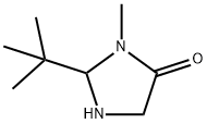 4-IMidazolidinone, 2-(1,1-diMethylethyl)-3-Methyl- 化学構造式