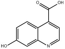 7-Hydroxy-quinoline-4-carboxylic acid Struktur