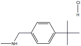 N-甲基-4-叔丁基苄基胺盐酸盐, 101846-35-9, 结构式