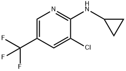 3-氯-N-环丙基-5-(三氟甲基)吡啶-2-胺, 1031619-96-1, 结构式