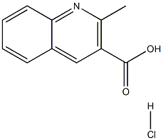 103907-11-5 2-Methylquinoline-3-carboxylic acid hydrochloride