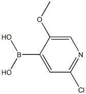 2-Chloro-5-Methoxypyridine-4-ylboronic acid Struktur